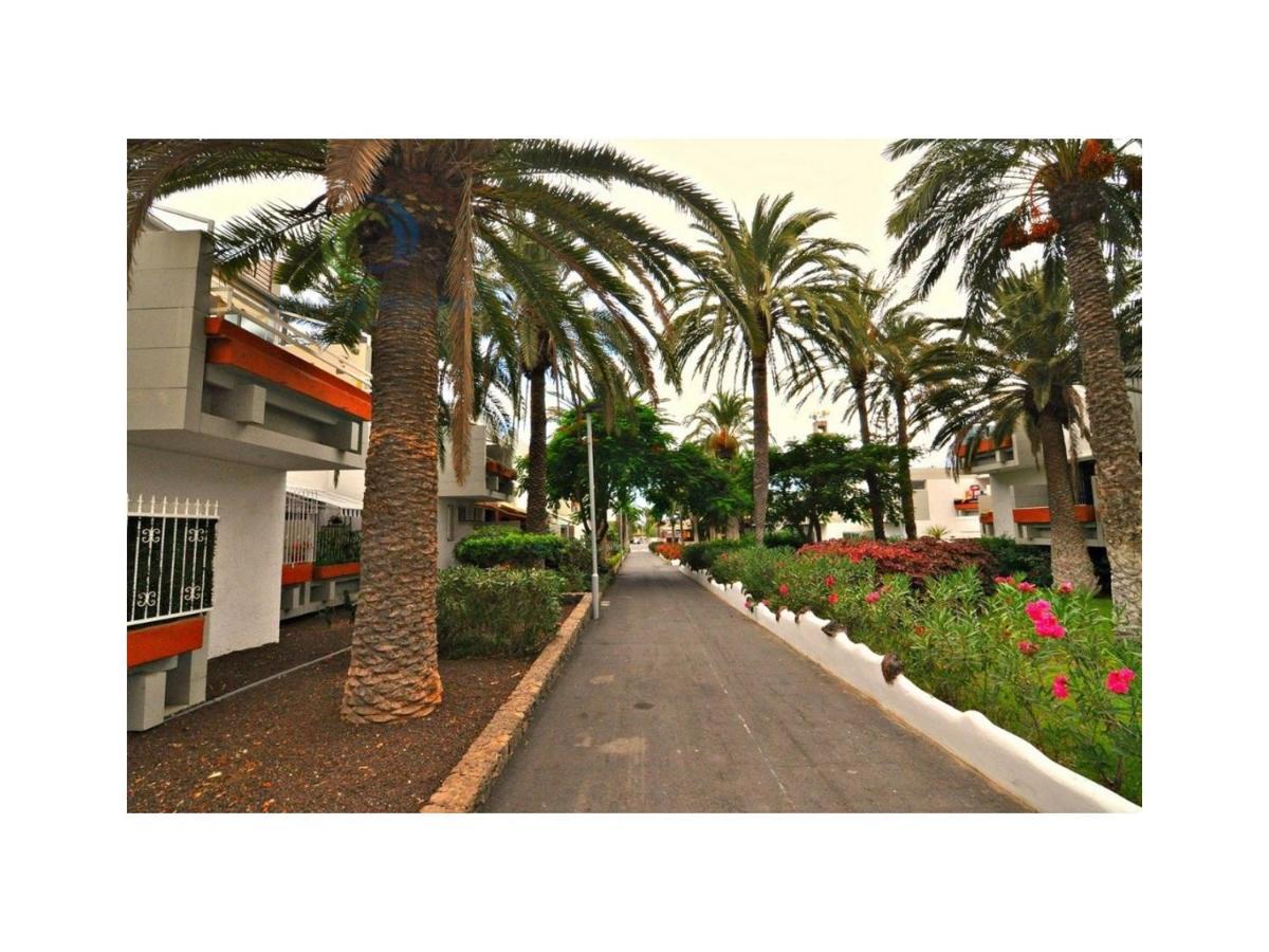 Apartamento Primavera קוסטה דל סילנסיו מראה חיצוני תמונה